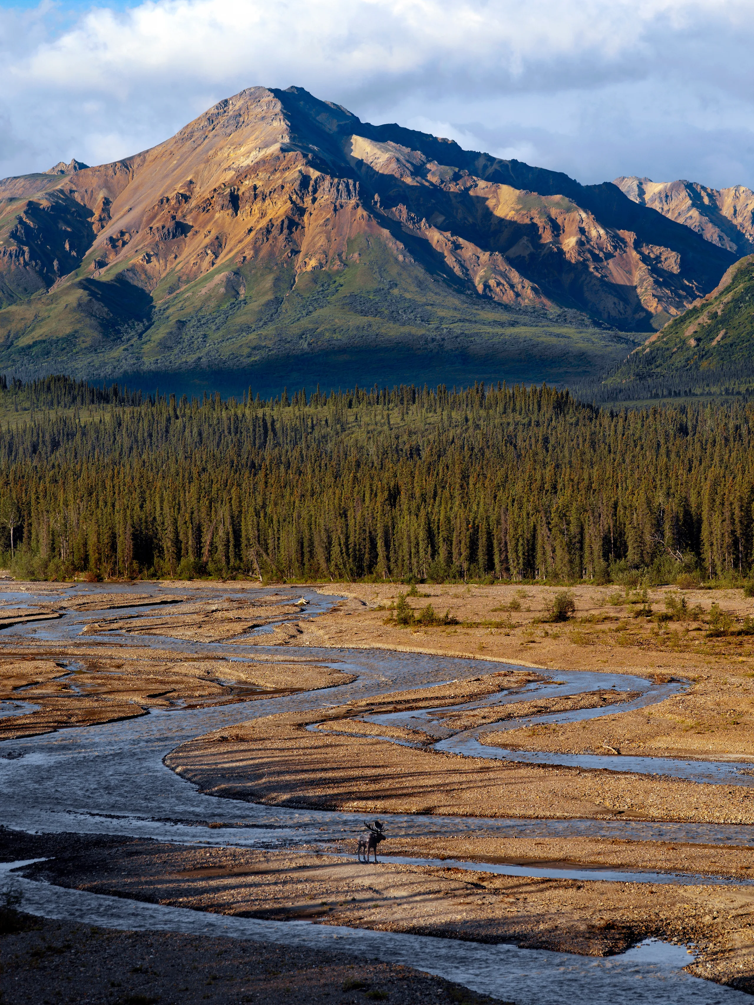 Denali National Park Alaska — mountain wilderness and frontier landscape