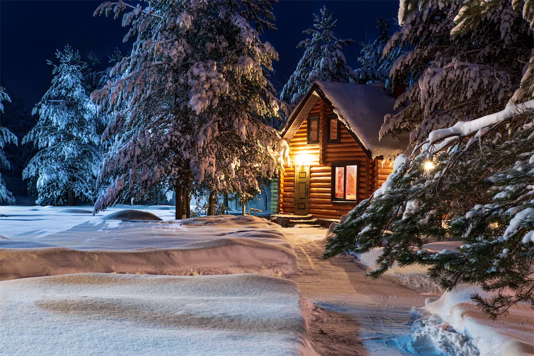 Rustic log house surrounded by snow-covered pine trees in rural Alaska