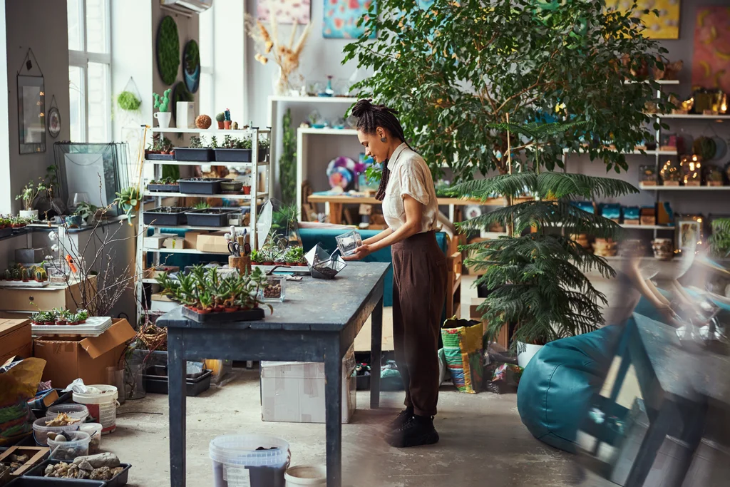 Individuals & Creators